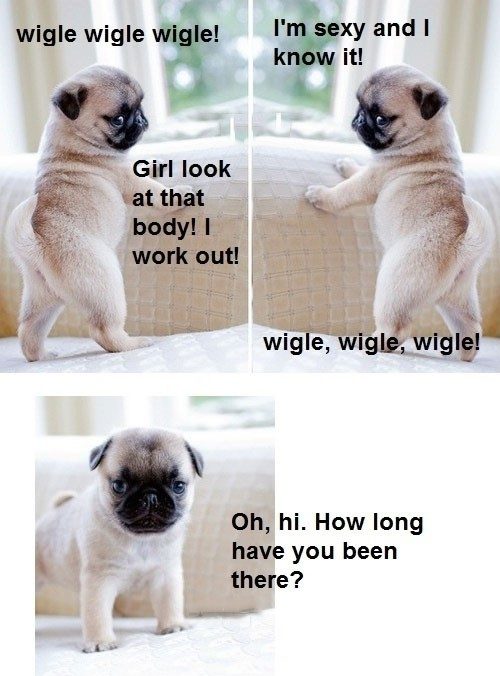Wigle wigle wigle