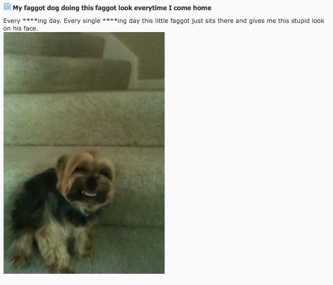 Glad hund