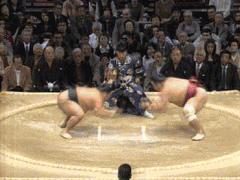 Fight