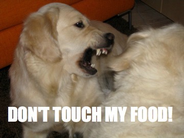 Egoistisk hund!