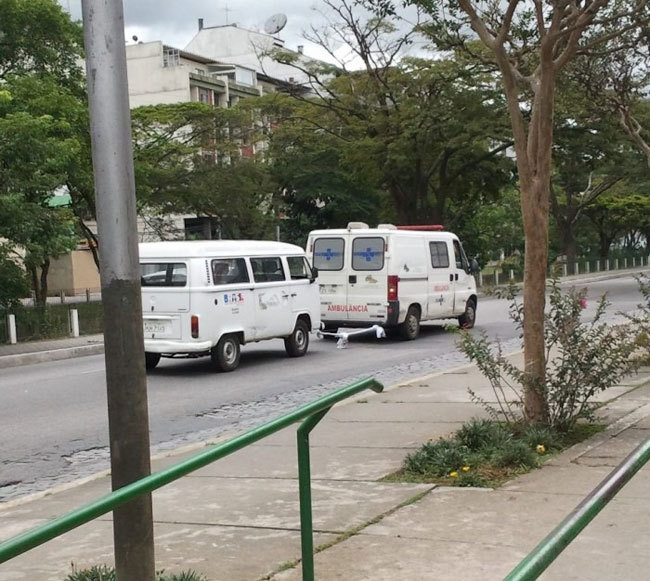 Bilder från Brasilien – bild 13 av 15