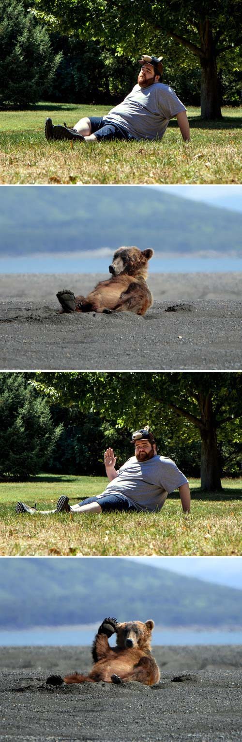 Human bear