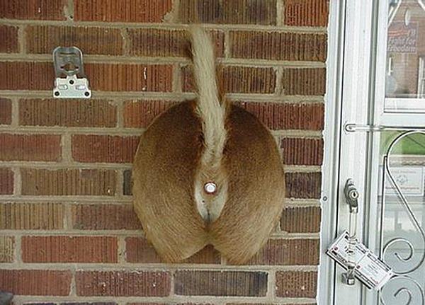 Ringklocka