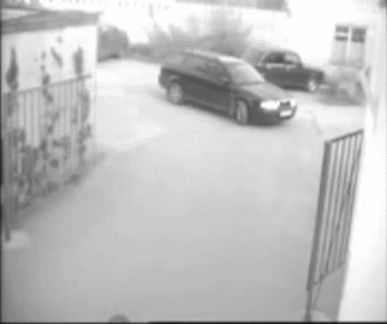 WTF