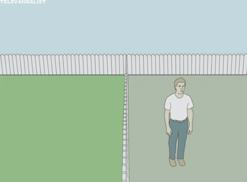 Livet förklarat med en gif