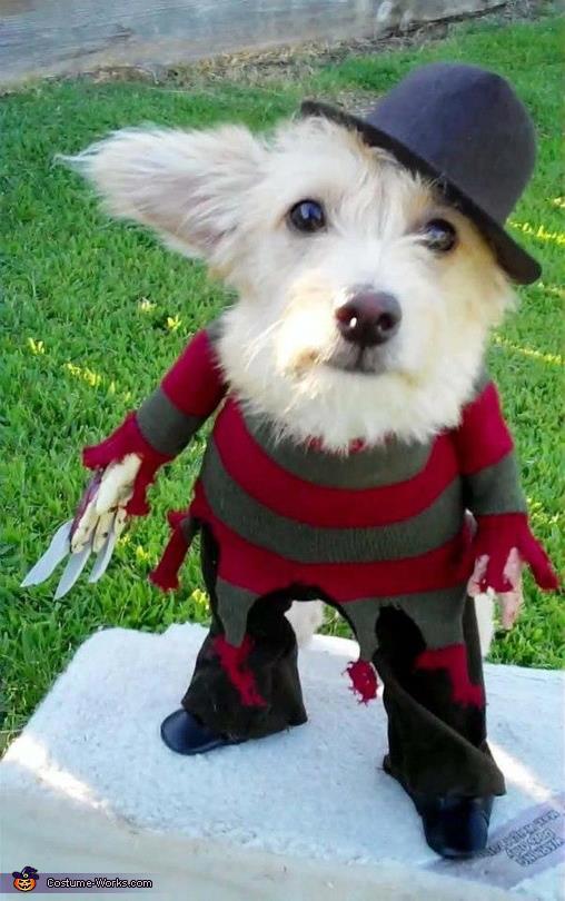 Fin halloween-outfit