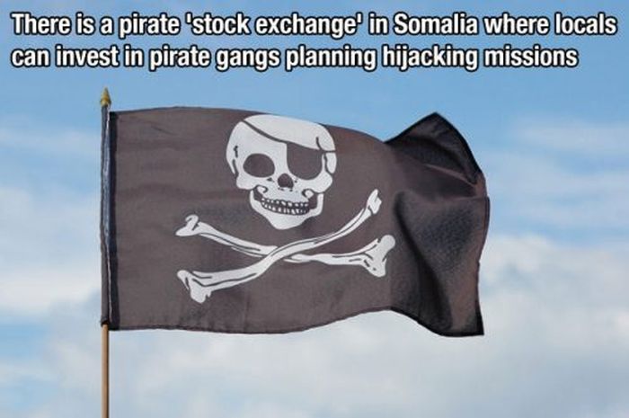Intressant fakta – bild 10 av 30