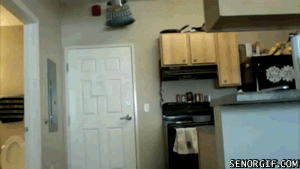 Roommate prank