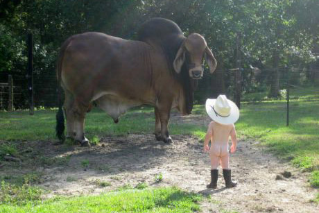 Baby vs 