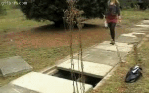Faceplant