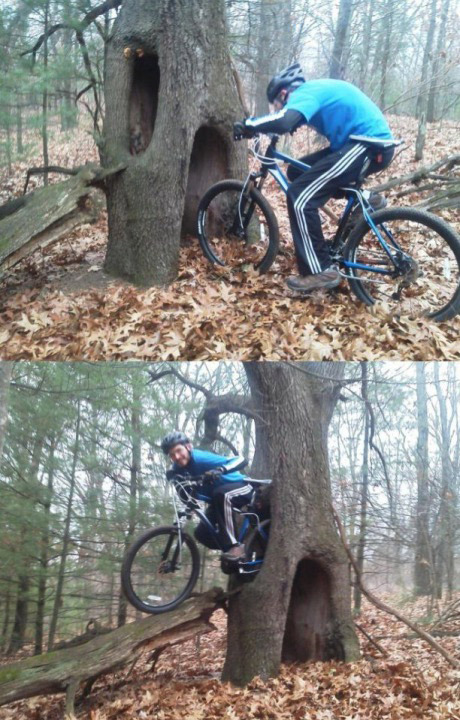 Portal IRL