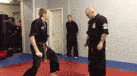 How to Fight Like a Pro