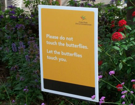 Oh you butterfly..