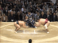 Sumobrottare