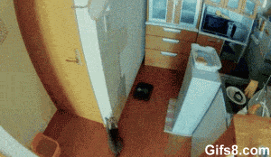 Matrix Katt