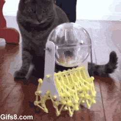 High-tech Hamster