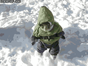 Apan ser snö första gången