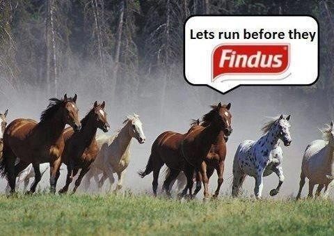 Bakom kulisserna på Findus reklam