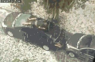 Do the harlem shake!