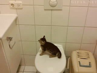 Fail hopp