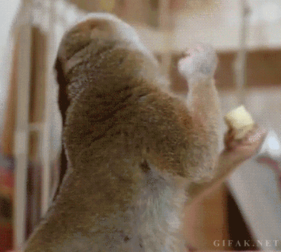 mmmh banan