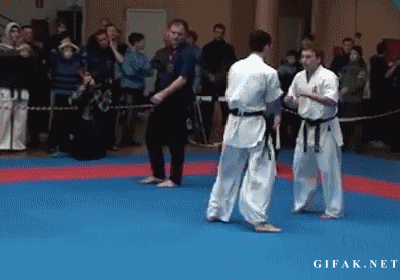 Karate K.O