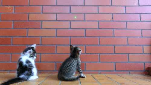 Strunt i lasern