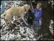 Hund hoppar på killen