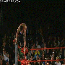 Wrestling Fail