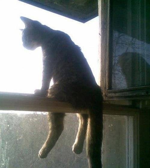 Just chilling