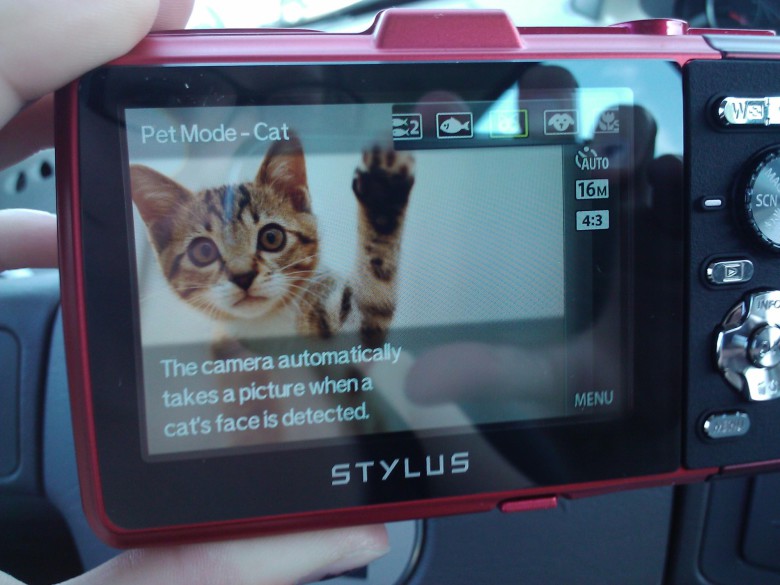 Kattmode