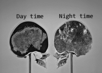Every Night This Happens