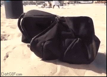Beach boy