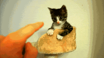 Give me that finger
