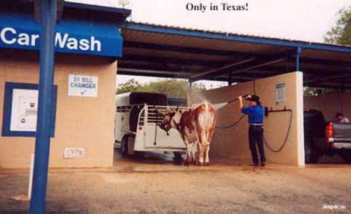 Biltvätt i texas