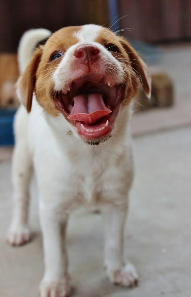 Don't worry, be happy