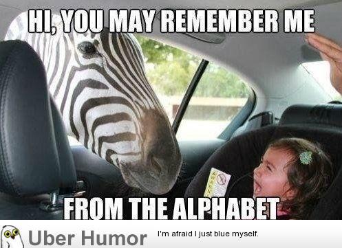 Vänliga Zebra