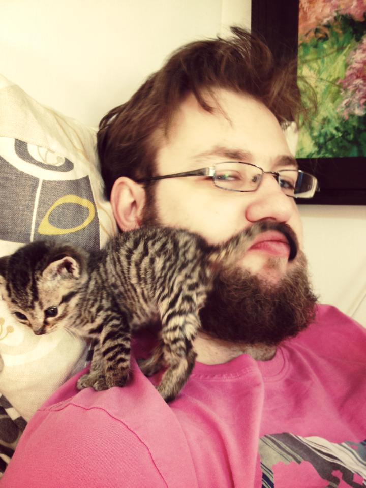 Kittystashe