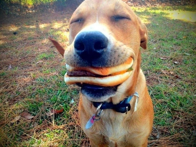 mhm burgare