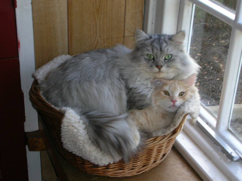 If you fits i sits