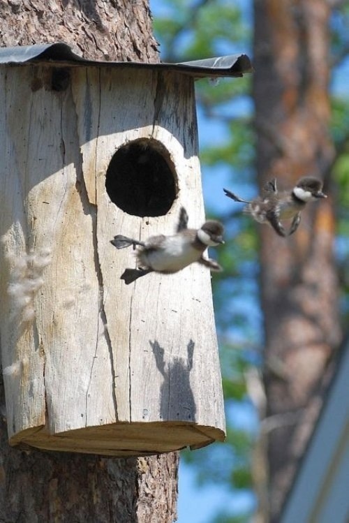 Leap of faith