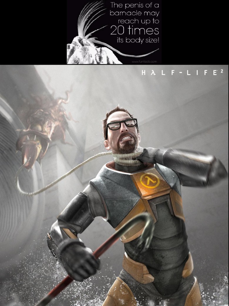 Half life 2 förklarat