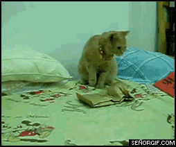 Avenge me