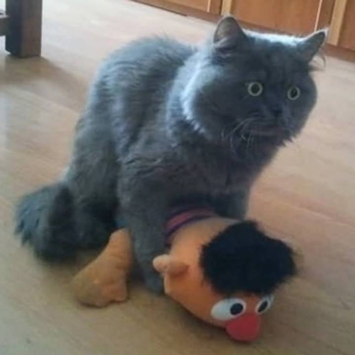 Just take it
