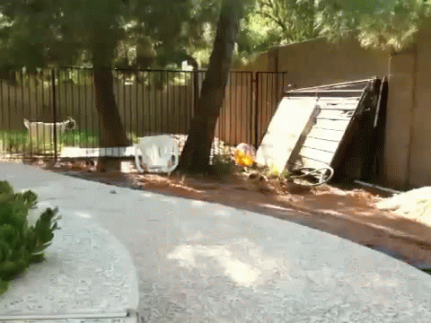 Parkour get