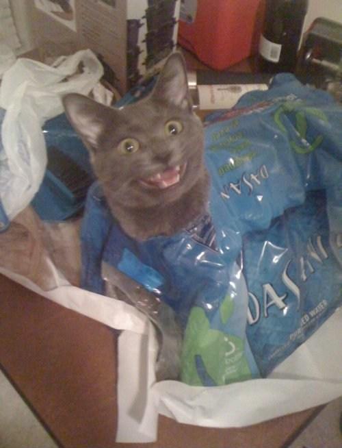 Surprise