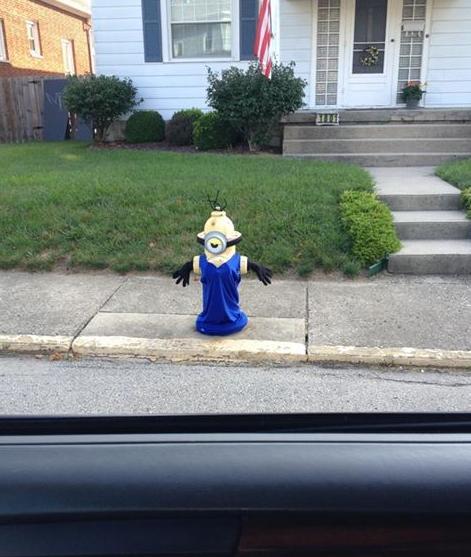 Minion