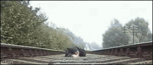 Balls of steel