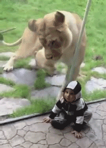 Give me my nom
