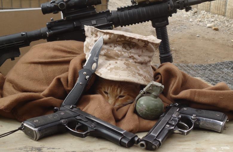 Afghan soldier